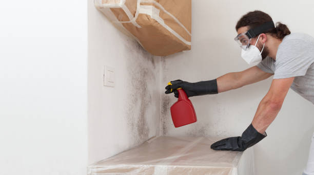 Professional Crawl Space Mold Removal technician working in Wanaque, NJ